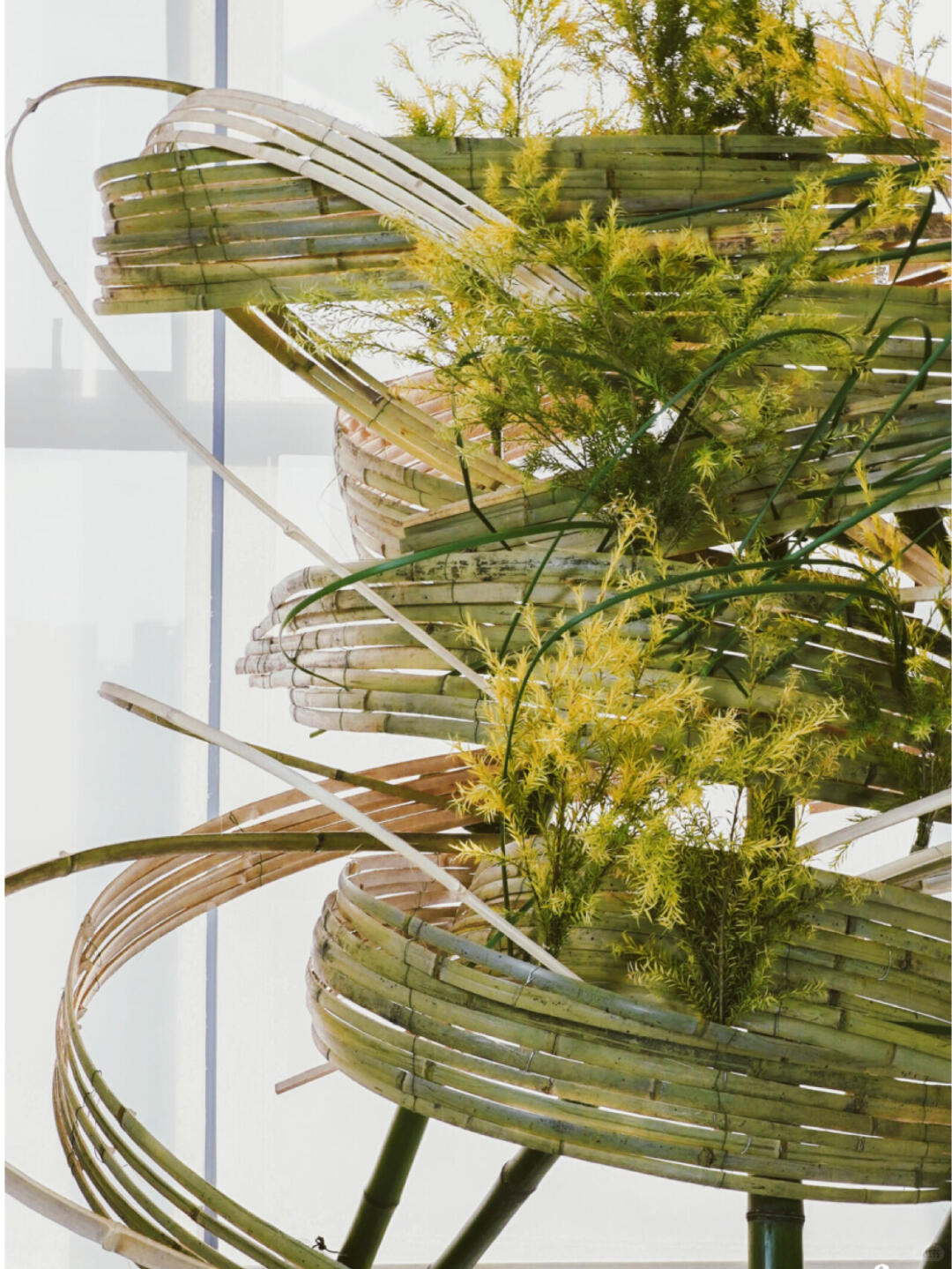 Bamboo Installation Art image 1