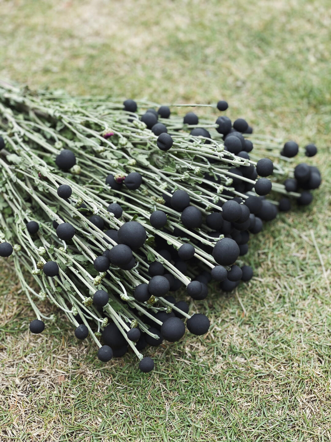 Floral Chengdu | Large-Scale Outdoor Floral Installation Art — Ultimate Photo Spot image 4
