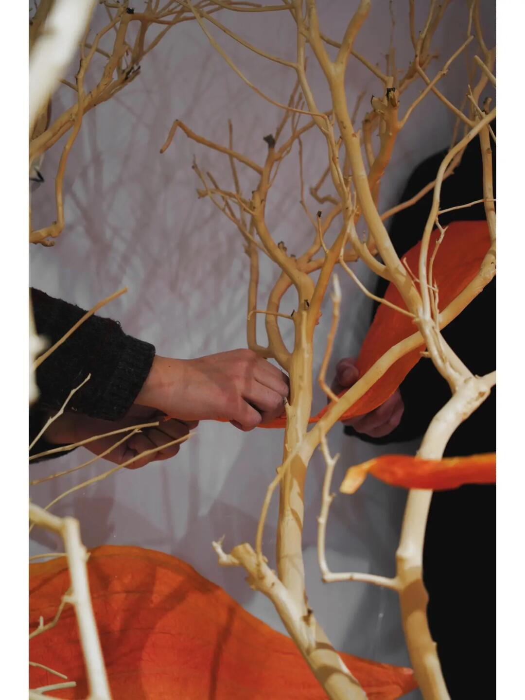 Phoenix in Flight | My Favorite Recent Showroom Window Installation image 5