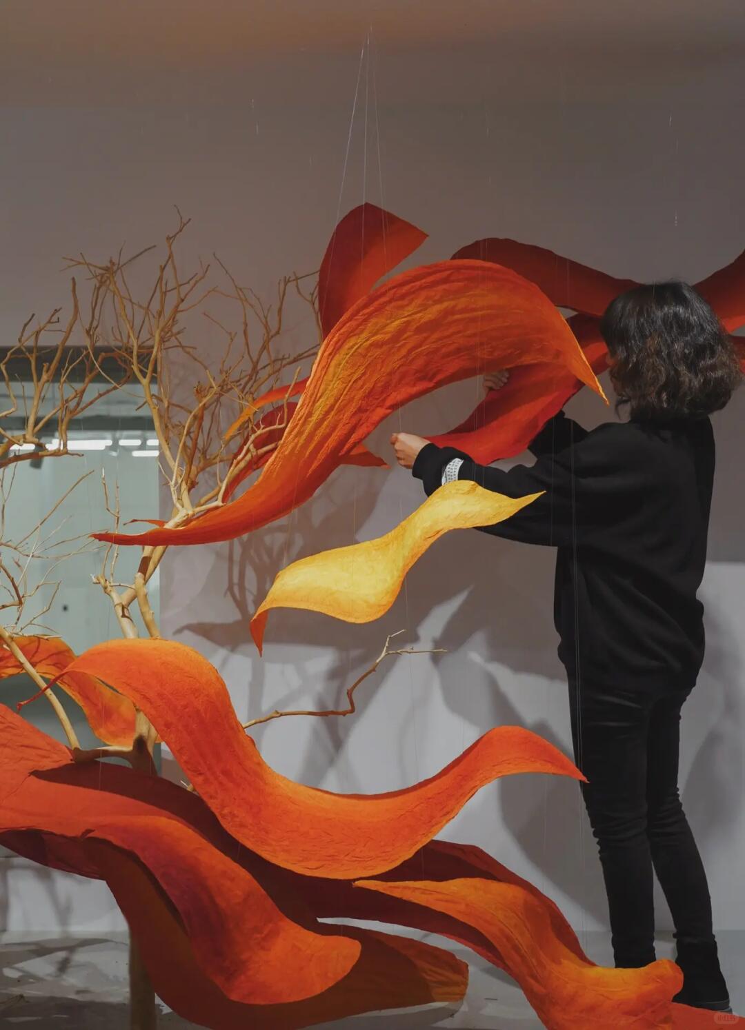 Phoenix in Flight | My Favorite Recent Showroom Window Installation image 3