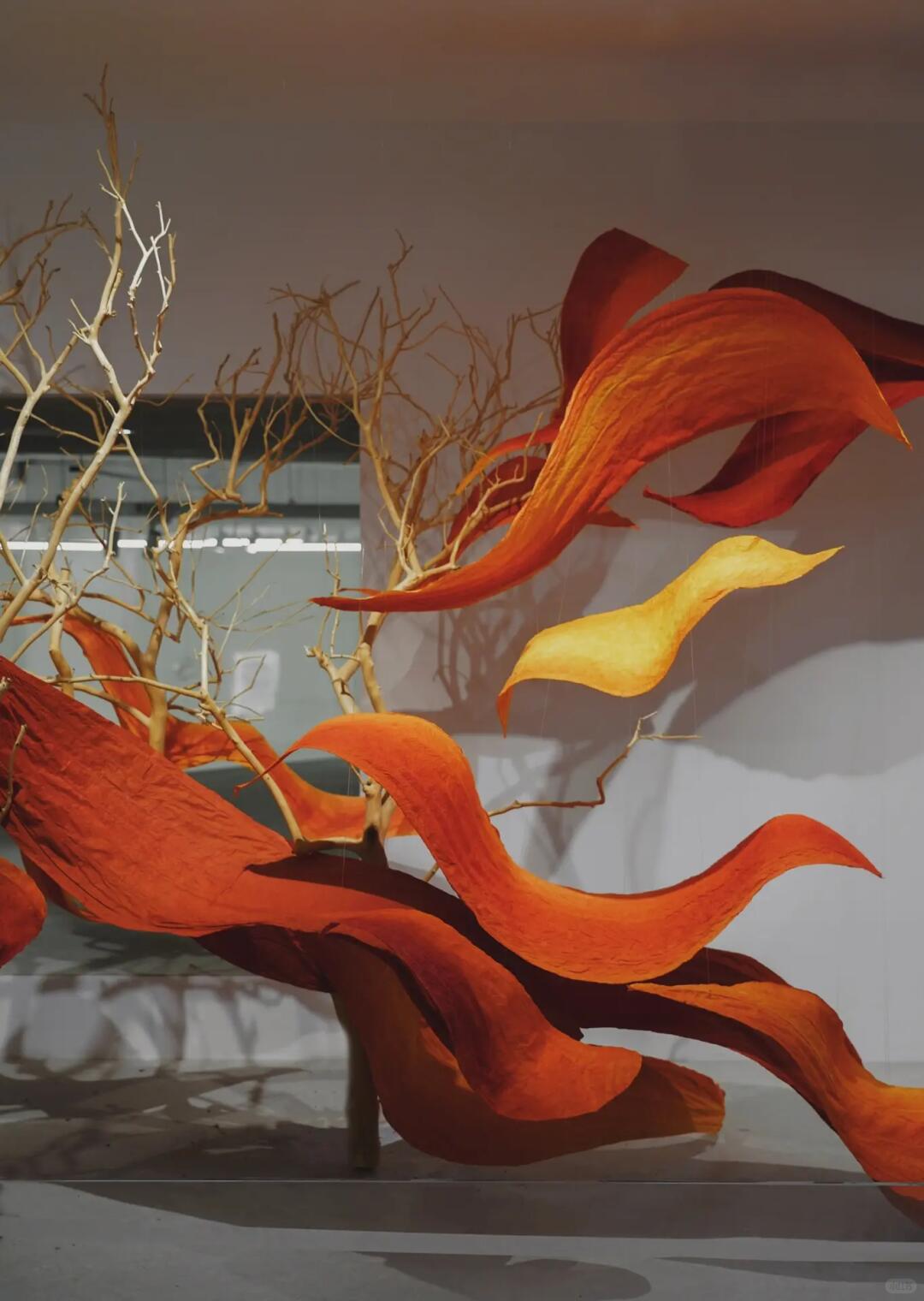 Phoenix in Flight | My Favorite Recent Showroom Window Installation image 2