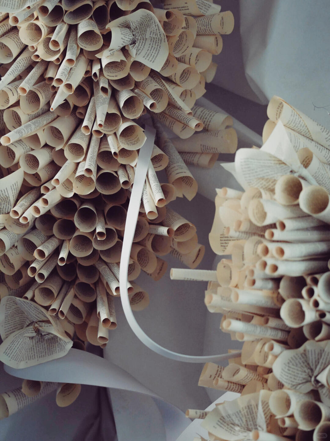 Bookstore Window Installation Art | The Sequence of the Honeycomb image 1