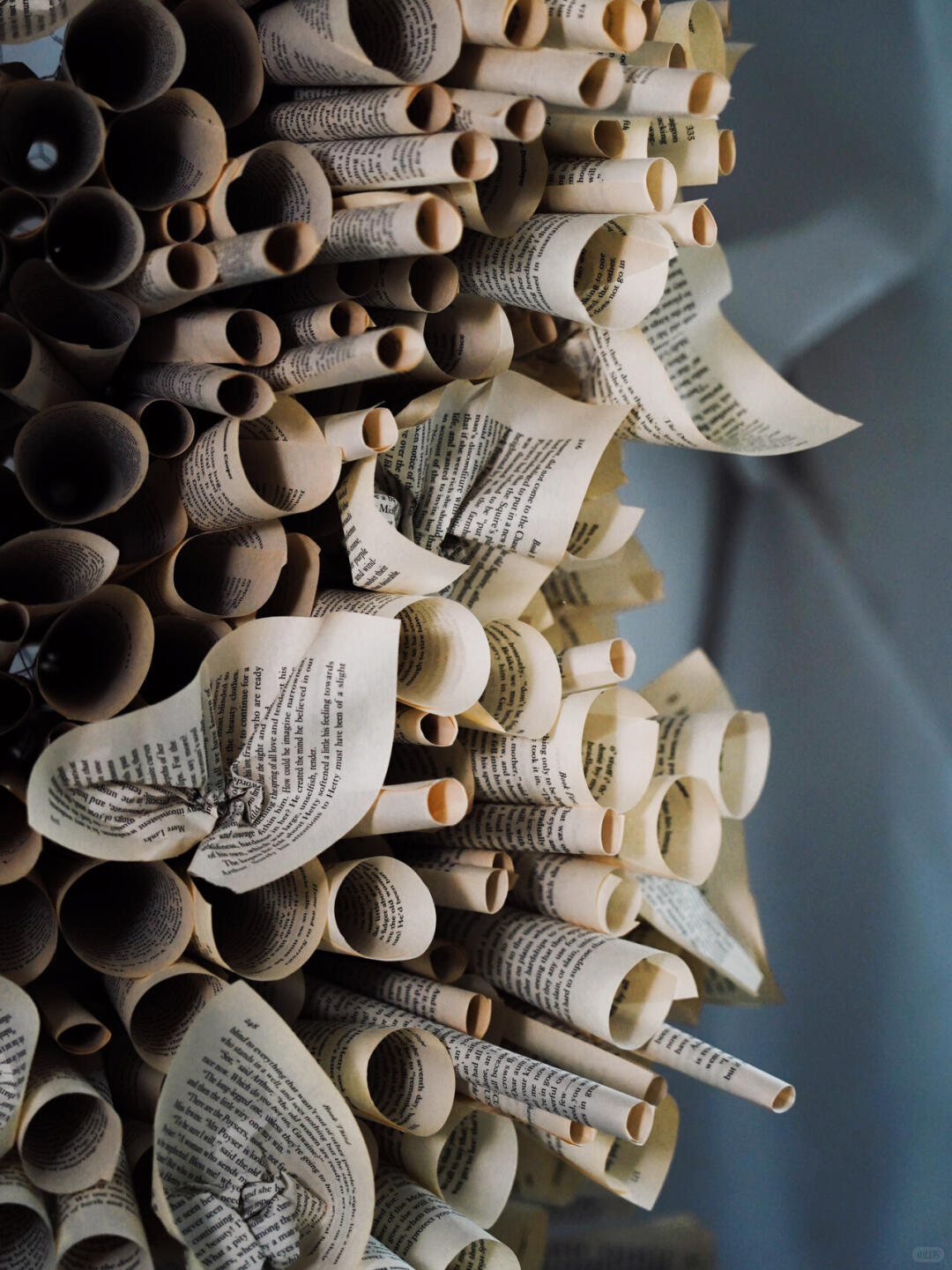 Bookstore Window Installation Art | The Sequence of the Honeycomb image 2
