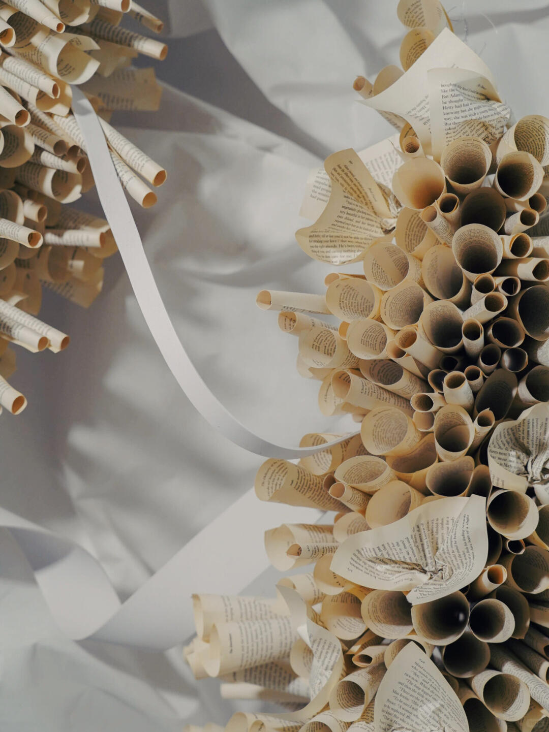 Bookstore Window Installation Art | The Sequence of the Honeycomb